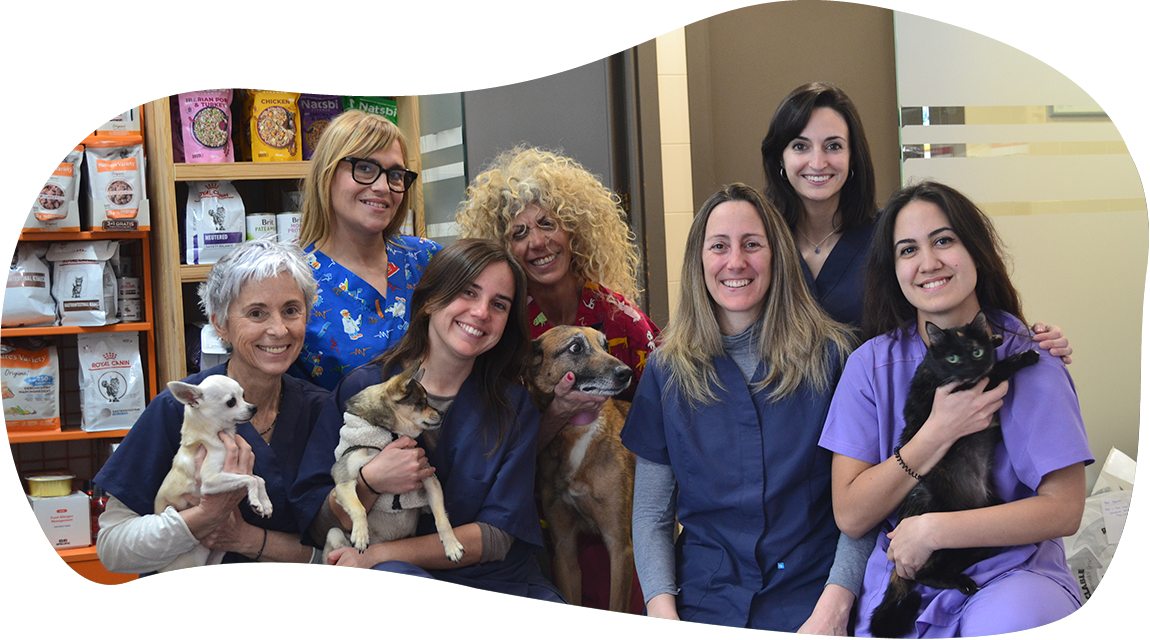 Hospital Veterinari Prat de la Creu